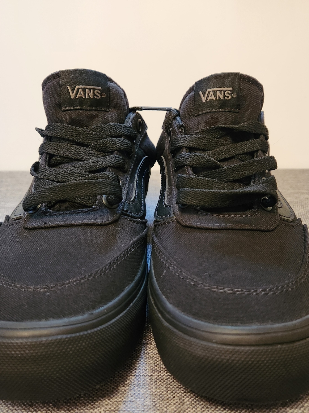 Vans Black Low-Top Canvas Skate Sneakers